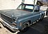 1974 Chevrolet C/K Truck 2WD Regular Cab 1500 for sale 101072592